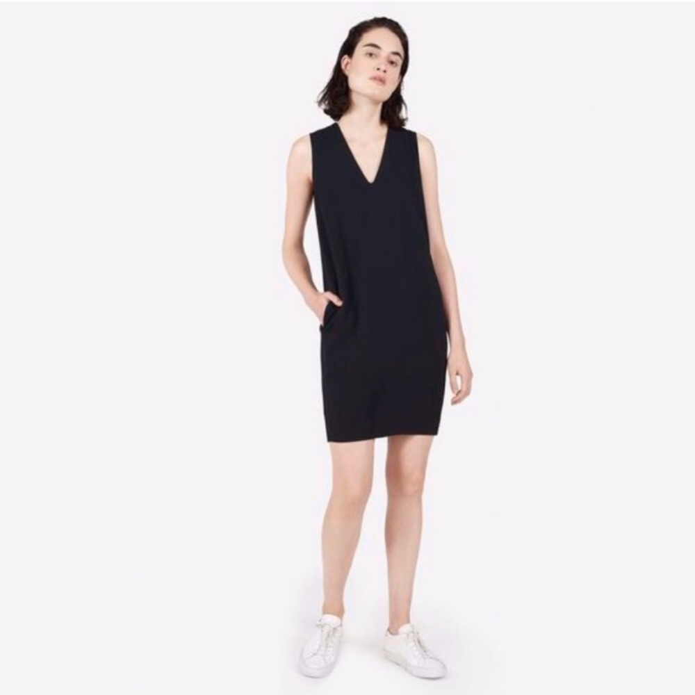 Everlane Japanese GoWeave Sleeveless V-Neck Dress
